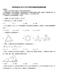 沧州市泊头市2024-2025学年中考适应性考试数学试题含解析