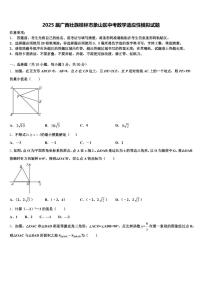 2025届广西壮族桂林市象山区中考数学适应性模拟试题含解析