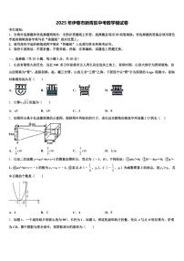 2025年伊春市新青区中考数学模试卷含解析