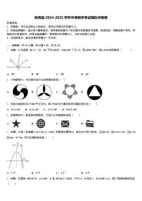 林周县2024-2025学年中考数学考试模拟冲刺卷含解析