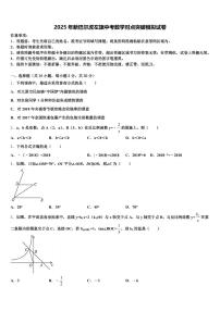 2025年新巴尔虎左旗中考数学对点突破模拟试卷含解析