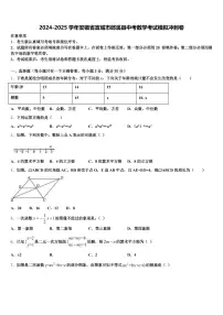 2024-2025学年安徽省宣城市郎溪县中考数学考试模拟冲刺卷含解析