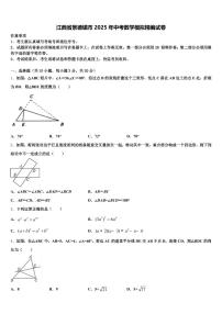 江西省景德镇市2025年中考数学模拟精编试卷含解析