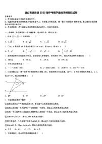唐山市唐海县2025届中考数学最后冲刺模拟试卷含解析
