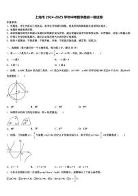 上海市2024-2025学年中考数学最后一模试卷含解析