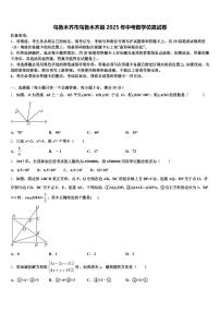 乌鲁木齐市乌鲁木齐县2025年中考数学仿真试卷含解析