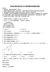 贵州省六盘水市钟山区2025届中考数学考试模拟冲刺卷含解析
