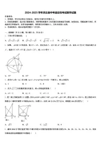 2024-2025学年灵丘县中考适应性考试数学试题含解析