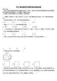 2025届五通桥区中考数学适应性模拟试题含解析