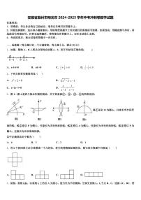 安徽省滁州市明光市2024-2025学年中考冲刺卷数学试题含解析