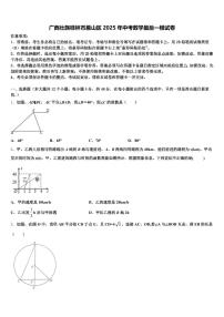 广西壮族桂林市雁山区2025年中考数学最后一模试卷含解析