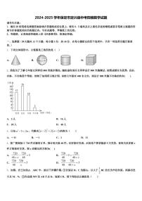2024-2025学年保定市定兴县中考四模数学试题含解析