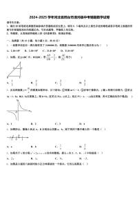 2024-2025学年河北省邢台市清河县中考猜题数学试卷含解析