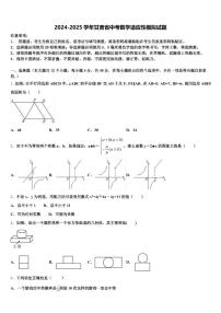 2024-2025学年甘肃省中考数学适应性模拟试题含解析