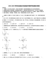 2024-2025学年河北省衡水市武邑县中考数学考试模拟冲刺卷含解析