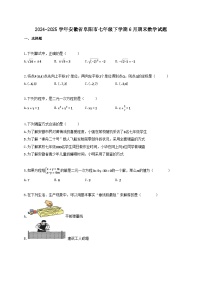 2024_2025学年安徽省阜阳市七年级下册6月期末数学试卷【附答案】