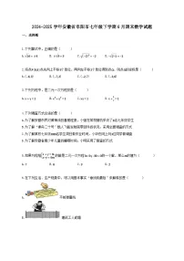 2024_2025学年安徽省阜阳市七年级下册6月期末数学试卷【附答案】