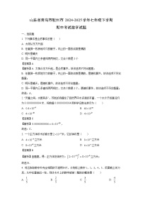 山东省青岛市胶州市2024-2025学年七年级下学期期中考试数学试卷（解析版）