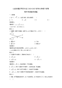 山东省临沂市沂水县2024-2025学年七年级下学期期中考试数学试卷（解析版）