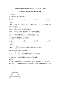 内蒙古赤峰市阿鲁科尔沁旗2024-2025学年八年级下学期期末考试 数学试卷（解析版）