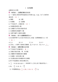 北师大版（2024）八年级上册（2024）1 认识实数优秀课时作业