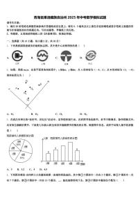 青海省果洛藏族自治州2025年中考数学模拟试题含解析