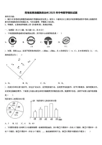 青海省果洛藏族自治州2025年中考数学模拟试题含解析