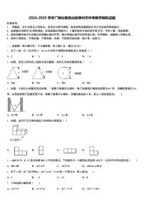2024-2025学年广西壮族自治区柳州市中考数学模拟试题含解析