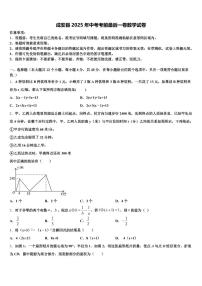 成安县2025年中考考前最后一卷数学试卷含解析