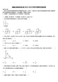 西藏山南地区洛扎县2024-2025学年中考数学仿真试卷含解析