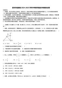 漯河市临颍县2024-2025学年中考数学最后冲刺模拟试卷含解析