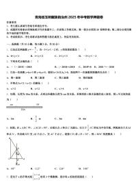青海省玉树藏族自治州2025年中考数学押题卷含解析
