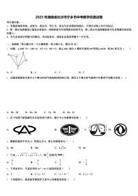 2025年湖南省长沙市宁乡市中考数学仿真试卷含解析