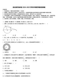 连云港市海州区2024-2025学年中考数学模拟预测题含解析