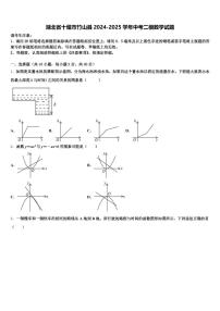 湖北省十堰市竹山县2024-2025学年中考二模数学试题含解析