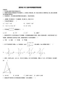 道孚县2025届中考押题数学预测卷含解析