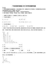 广东省河源市源城区2025年中考五模数学试题含解析