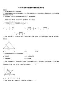 2025年鸡西市滴道区中考数学五模试卷含解析
