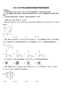 2024-2025学年山东省莱芜市莱城区中考数学五模试卷含解析