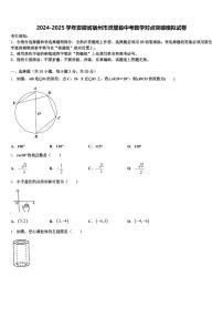 2024-2025学年安徽省宿州市灵璧县中考数学对点突破模拟试卷含解析