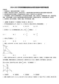 2024-2025学年阿坝藏族羌族自治州若尔盖县中考数学模试卷含解析