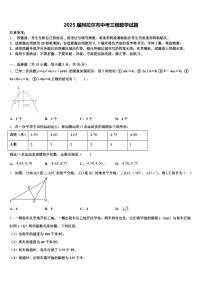 2025届阿拉尔市中考三模数学试题含解析