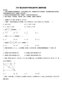 2025届山东省济宁市微山县中考二模数学试题含解析
