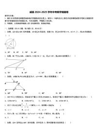 威县2024-2025学年中考数学猜题卷含解析