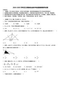 2024-2025学年芷江侗族自治县中考试题猜想数学试卷含解析