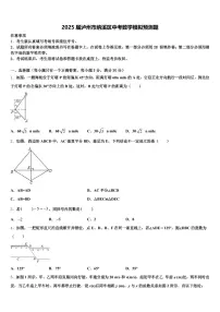 2025届泸州市纳溪区中考数学模拟预测题含解析