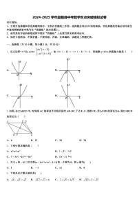 2024-2025学年勐腊县中考数学对点突破模拟试卷含解析