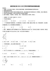 韶关市武江区2024-2025学年中考数学适应性模拟试题含解析