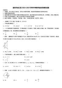 韶关市武江区2024-2025学年中考数学适应性模拟试题含解析