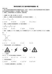 荆州市洪湖市2025届中考数学考前最后一卷含解析